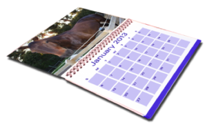 Pet Calendar2